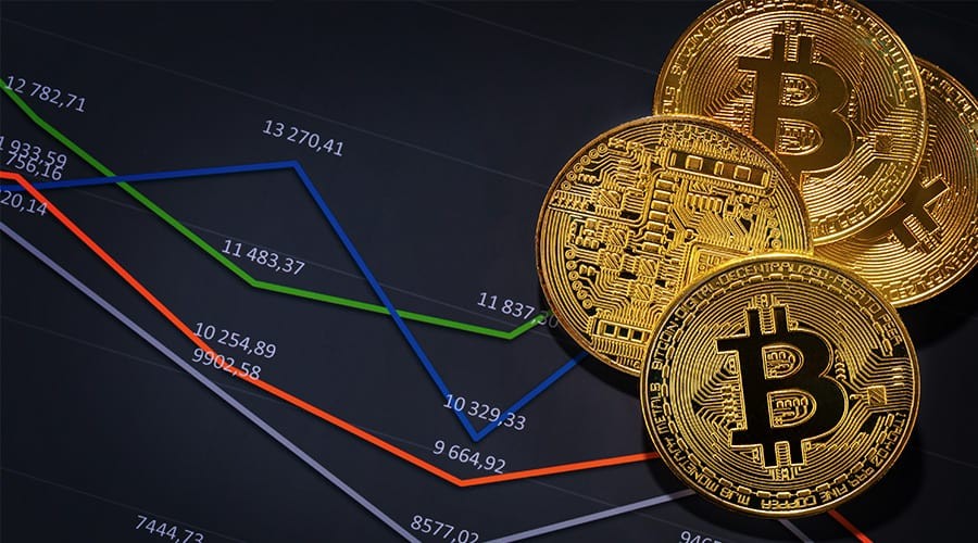 Cryptocurrency Market Insights