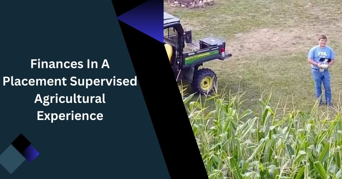 Finances In A Placement Supervised Agricultural Experience – A Quick Guide!